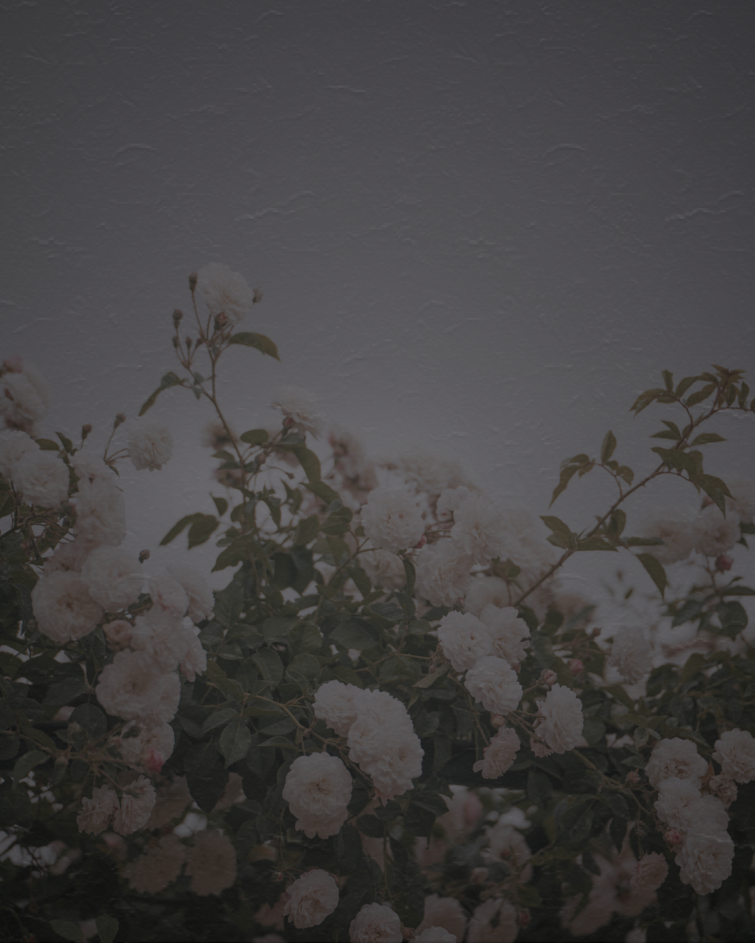 Motherboard HQ | Self-Rescue Studio for Modern Mothers